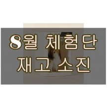 페페 중형견용 펫 드라이룸 [체험단완료시 무료]